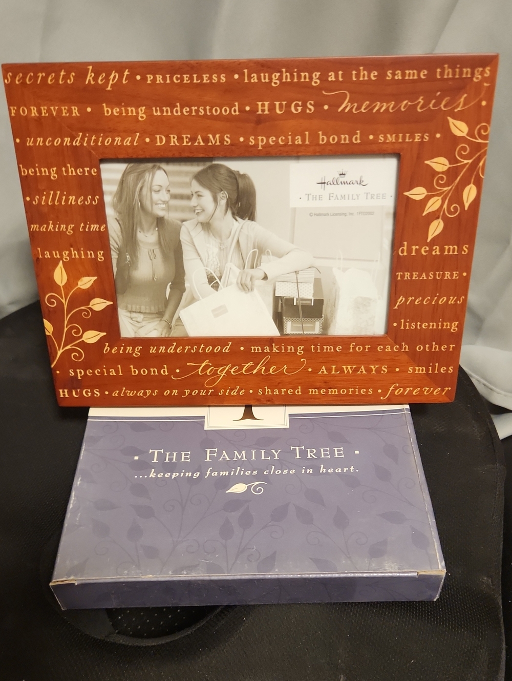 Hallmark Frame. Cadre. "Metal,Sister,Friend"